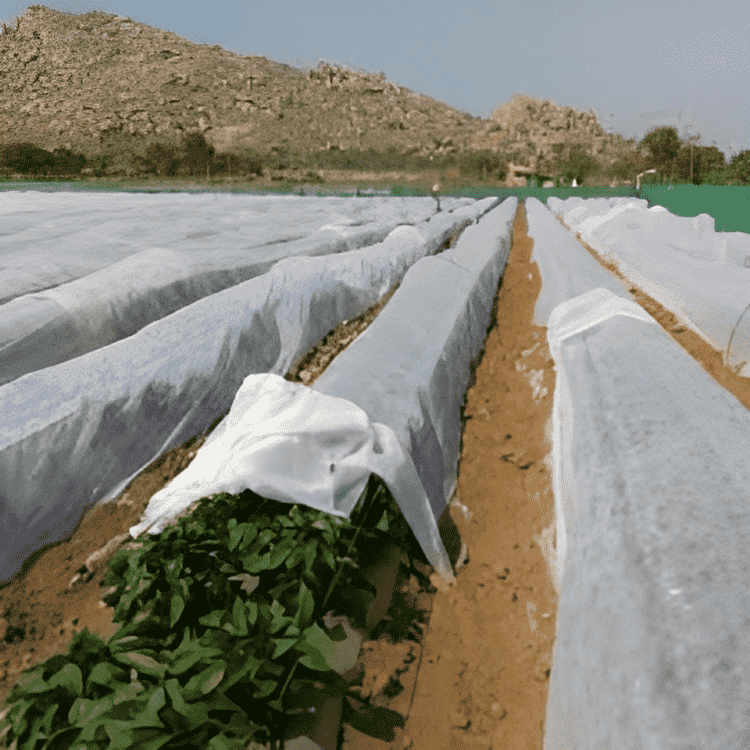 Agriculture